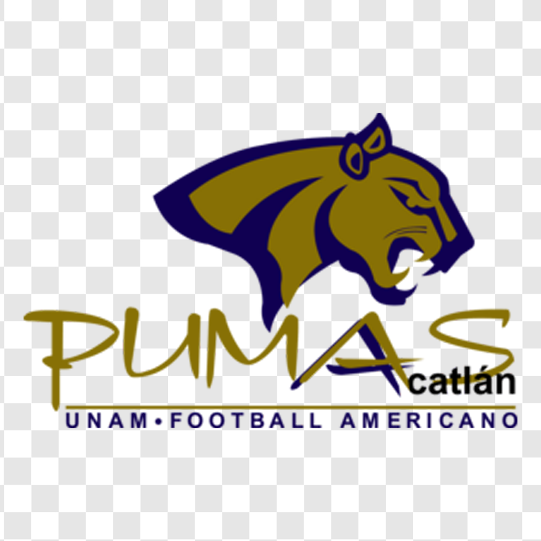 DTF طرح PUMAS Acatlan