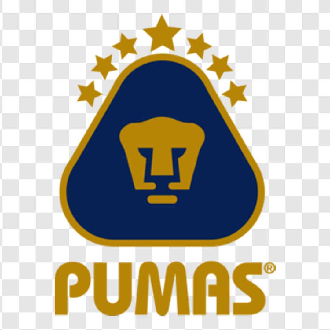 DTF طرح PUMAS