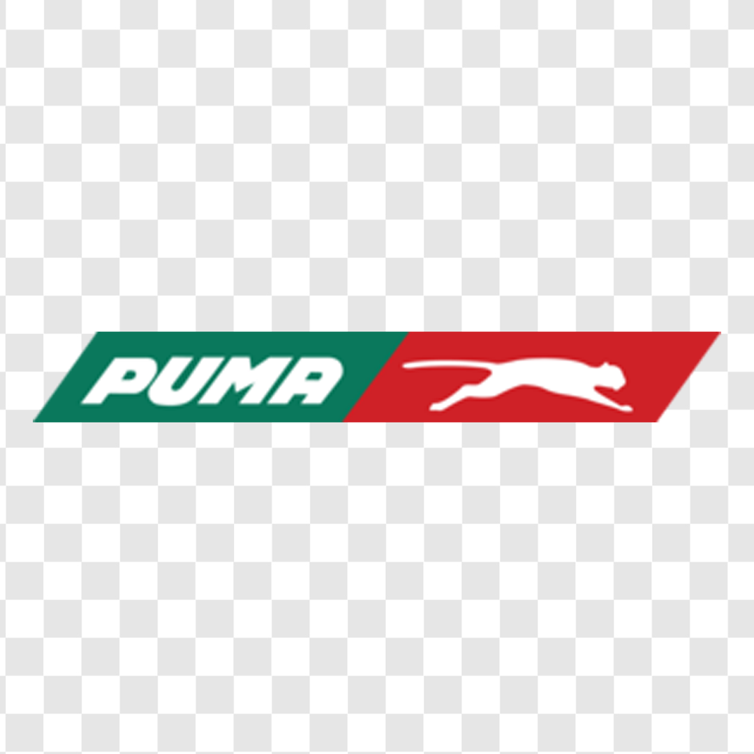 DTF طرح PUMA سبز و قرمز