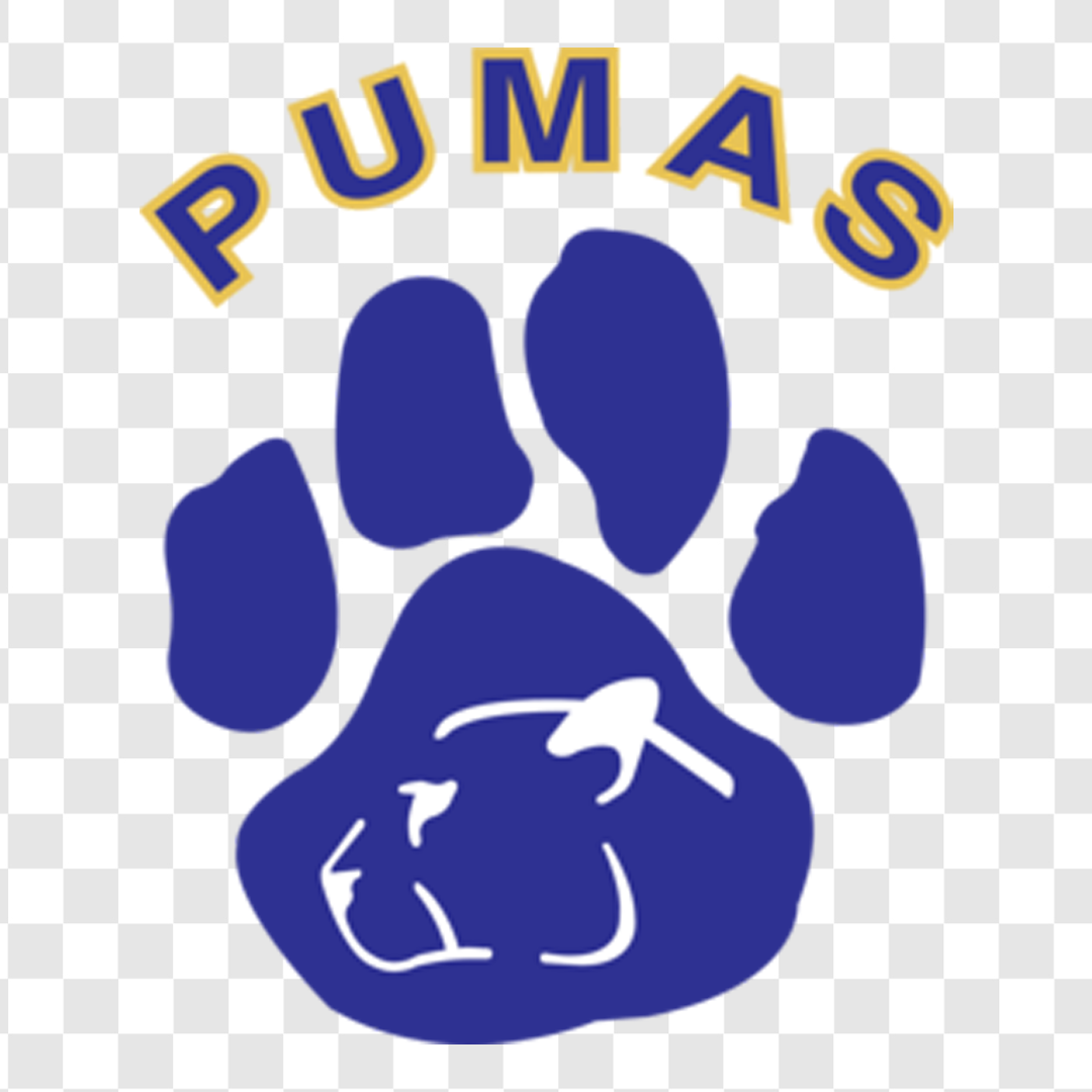 DTF طرح ردپای PUMAS
