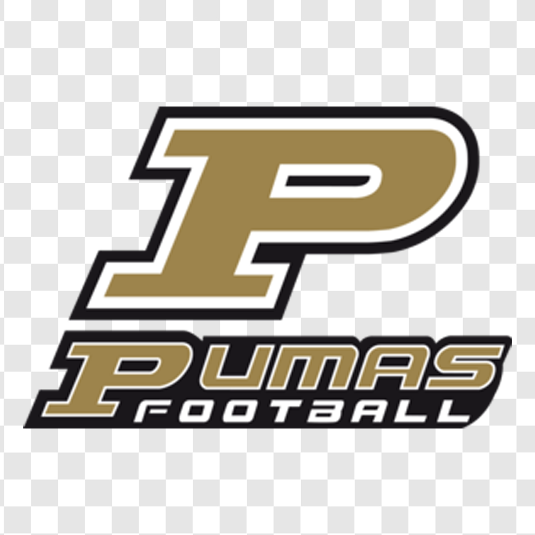 DTF طرح PUMAS FOOTBALL