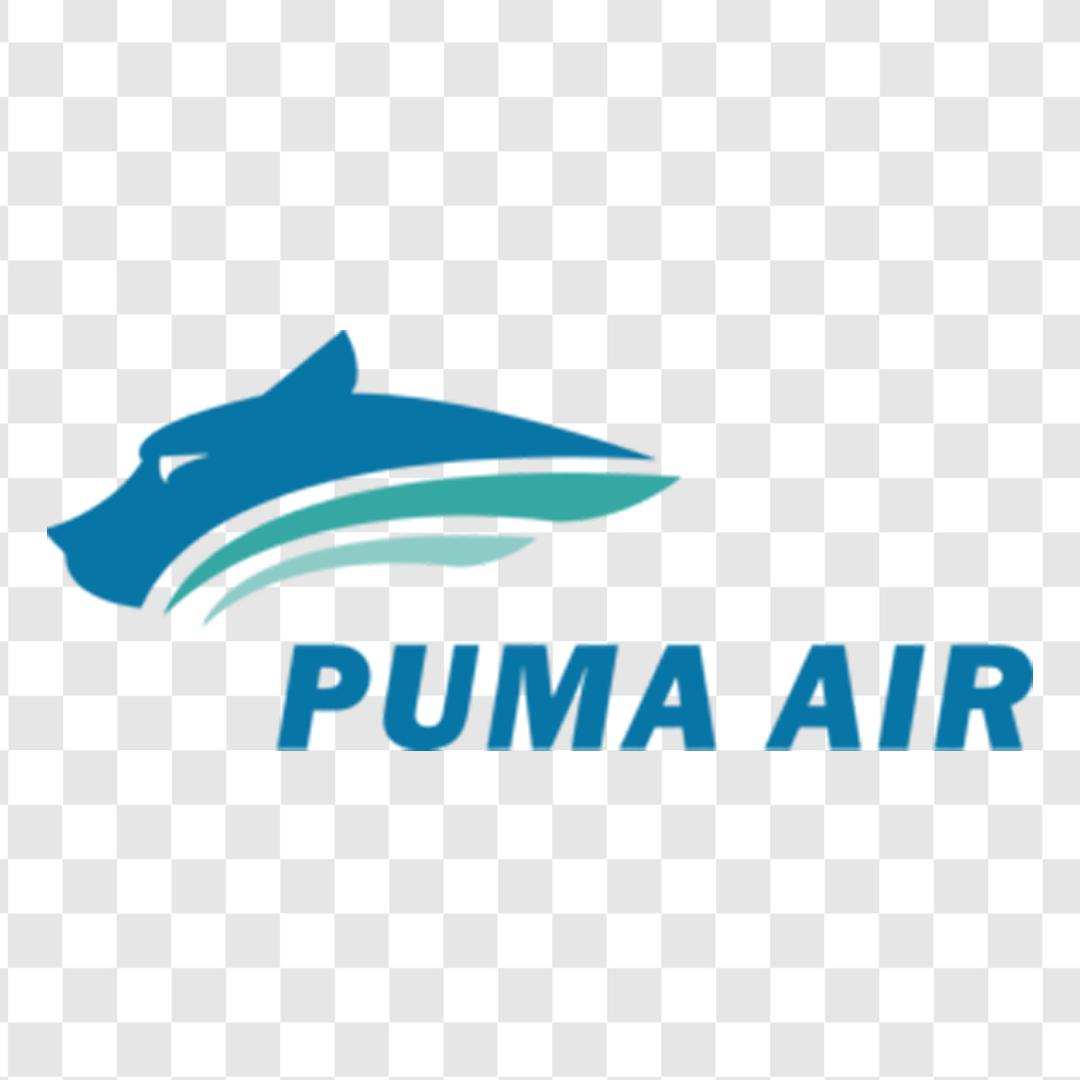 DTF طرح PUMA AIR